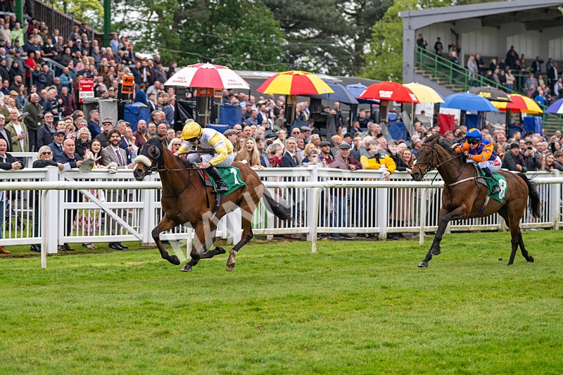 040524-Race 2-Wobwobwob-4082 - Race 2