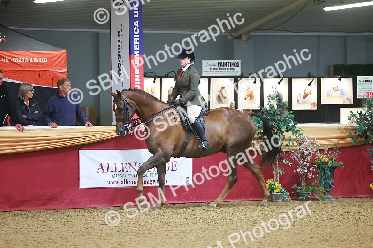 SBM_09675 - Class 102 - HOYS Veteran Qualifier - Ridden Veteran