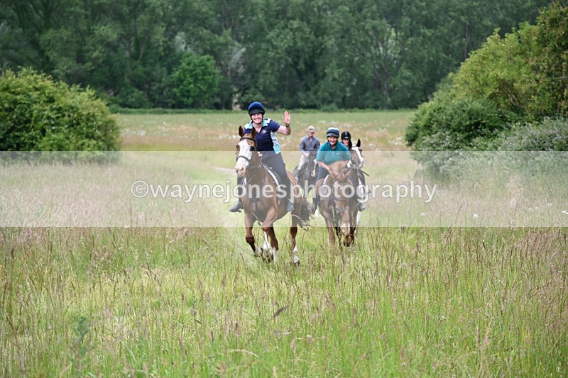 WJ6_8176 - Camera 1 Gallops