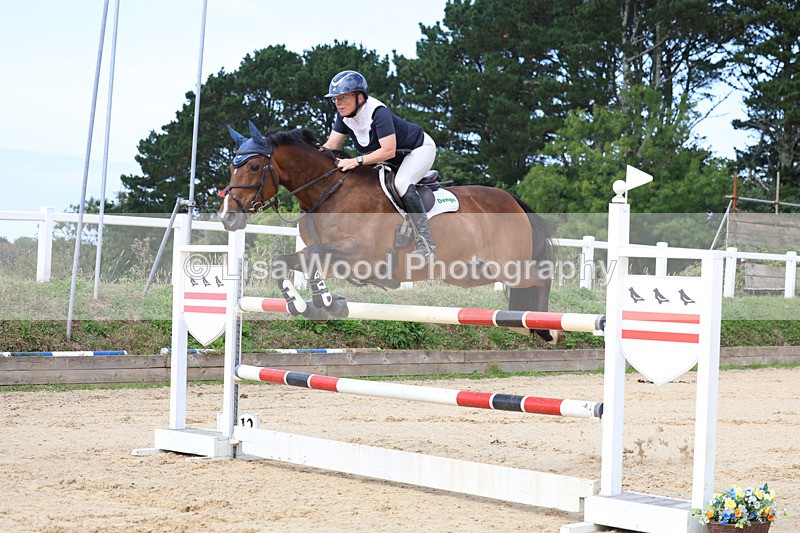 3E7A1924 - Class 9: Senior Foxhunter/1.20 open