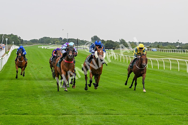 280824-Race 3-Too Much Too Young-4250 - Race 3