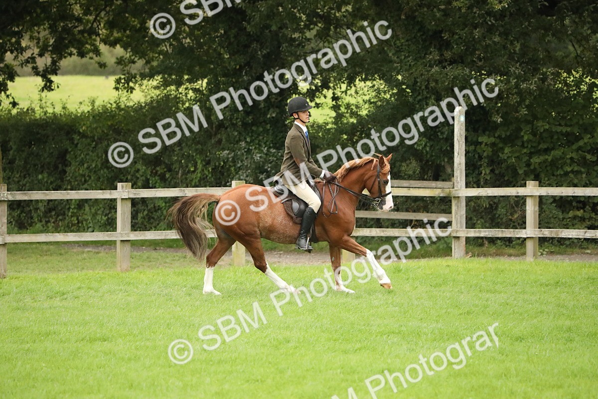 SBM_73791 - S41 - Ridden Equitation (Best Rider)