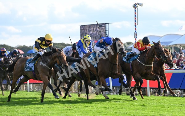 220825-273 Fifth Column - Race 7 5.20pm Sky Bet Mile Handicap