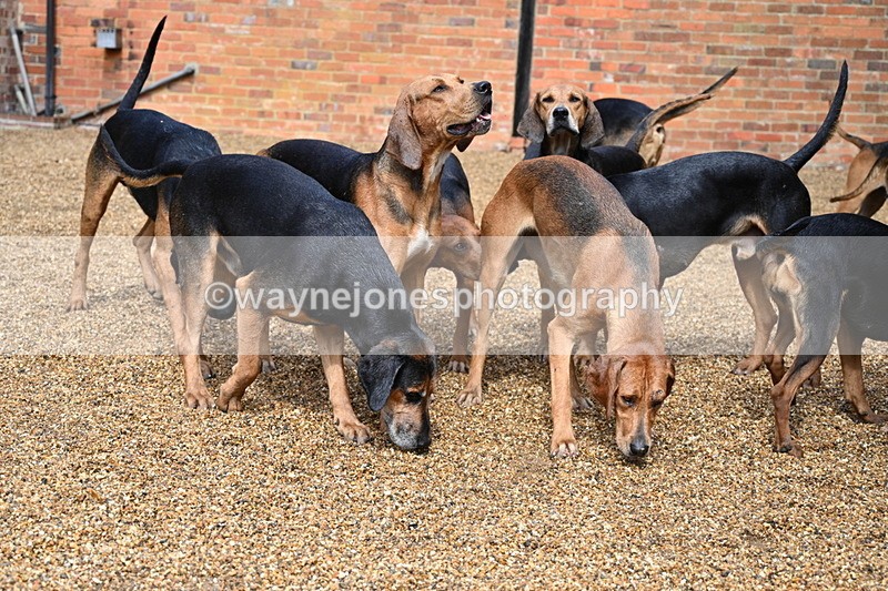 WJ7_7008 - Berks & Bucks at Blandy’s Farm 31-08-25
