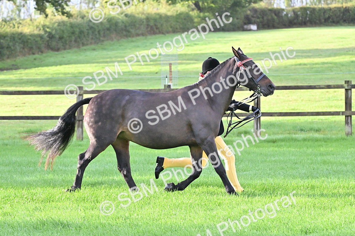 SBM_32608 - S15 - Top Turnout In Hand