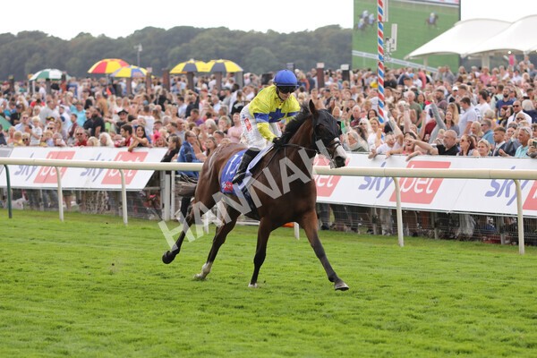 yr20082022r2-31 - Race 2 2.35pm Sky Bet Melrose Stakes