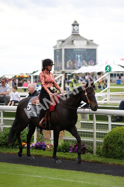 yr22052022r8e-93 - ROR - Parade Ring York