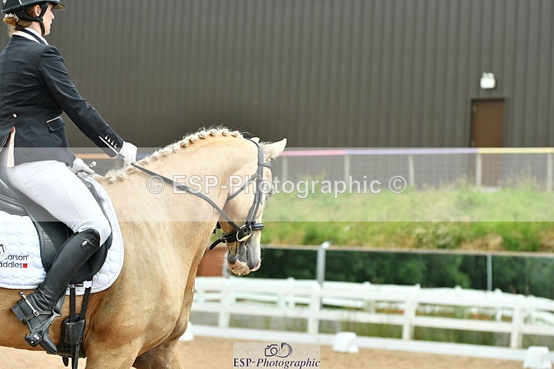 230701A-123939-05784 - Cls 7 Elementary 45