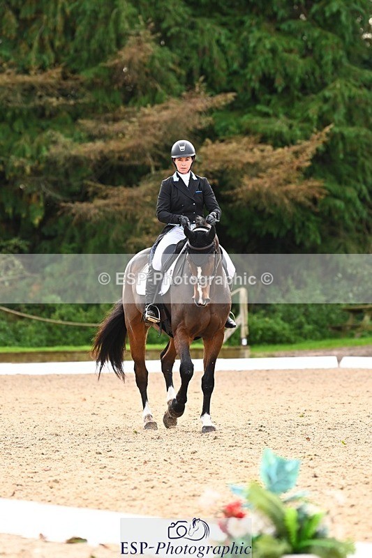 231021-134555-17707 - 350-DAZZLING.SPRINGTIME-Alice.Kneen-DR