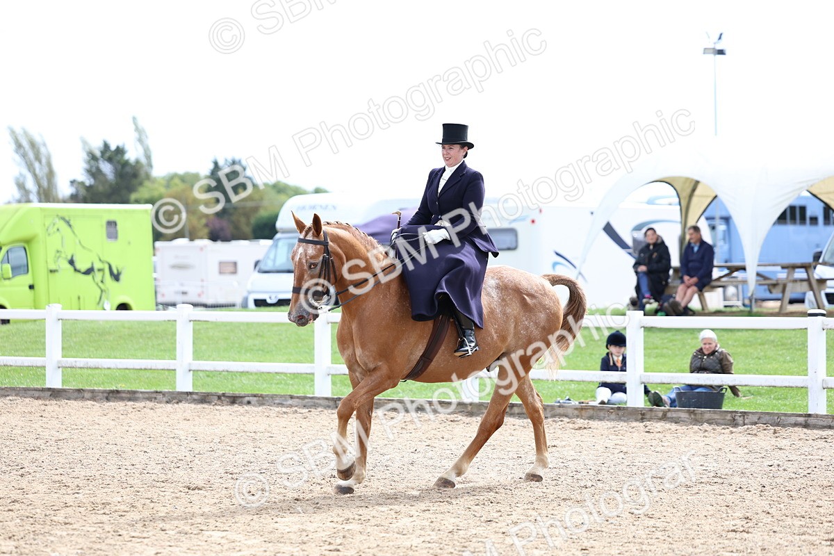 SBM_03351 - Class 23 - SSA Classical (any age)