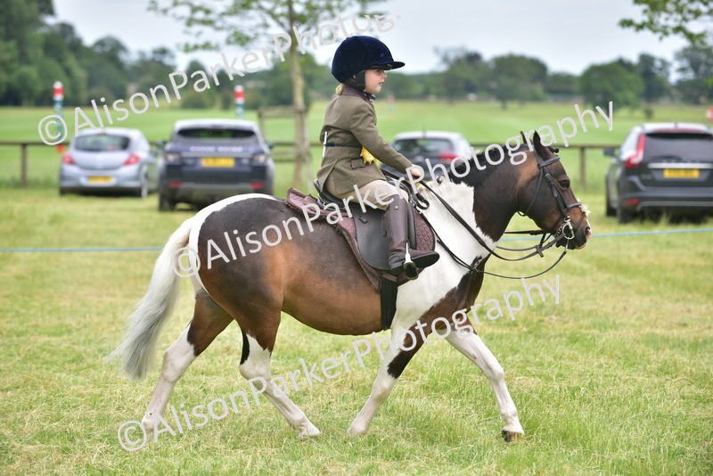 20260614-2722 - Class 13 - Pony Club Pony