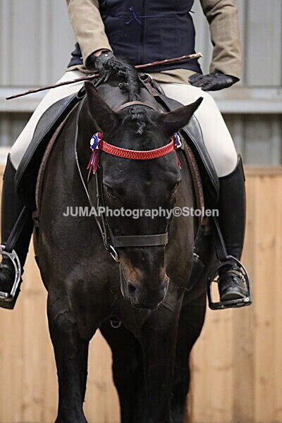 SIAL2860 - Sunday 14th Ridden