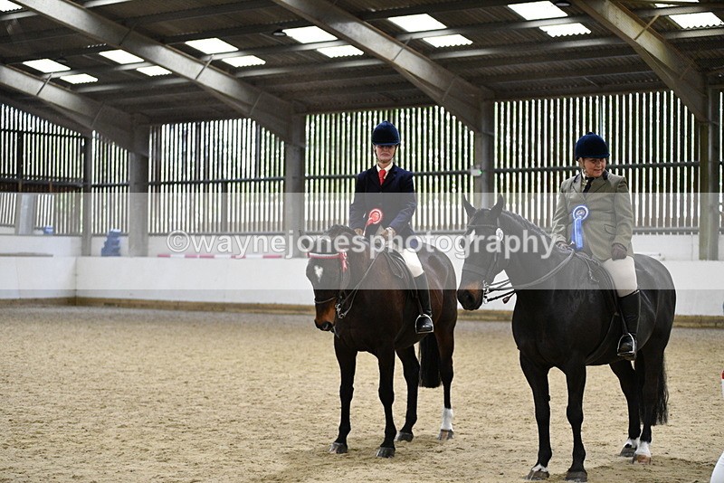 WJ5_8105 - Class 13 Ridden Part Breed