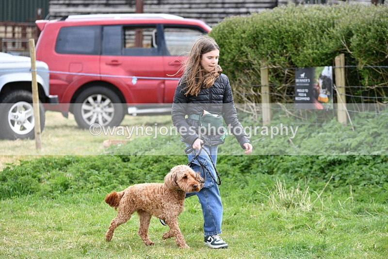 WJ5_9162 - Class 1 Best Cross Breed / Heniz 57