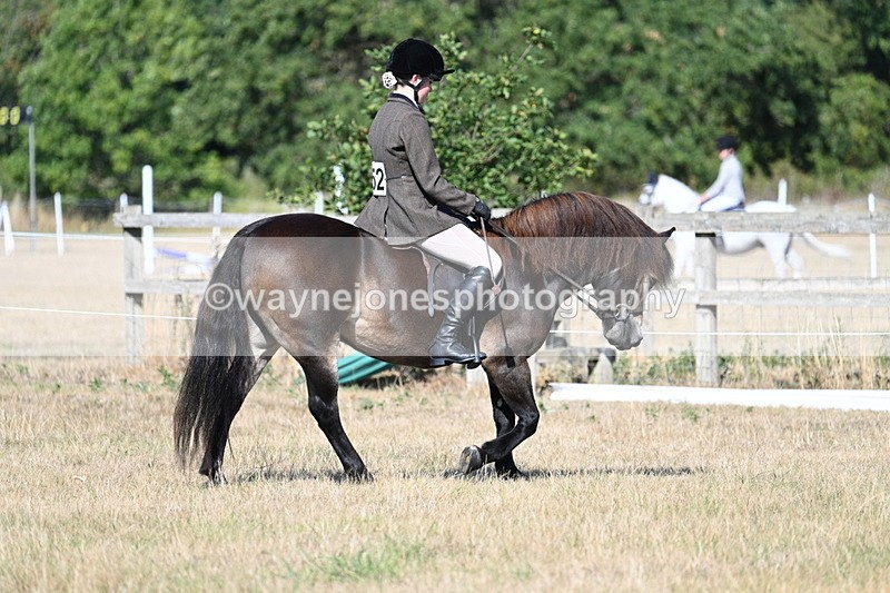 WJ7_3125 - Class 8 Ridden Tack & Turnout