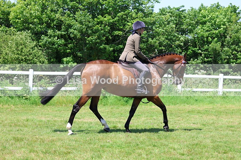 3E7A7509 - Class 31: Working Hunter Cob/Riding Horse