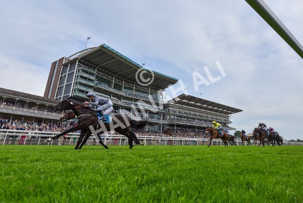160524-Race 6-Andesite-2-4 - Race 6 4.45pm Frank Whittle Partnership ebfstallions.com Novice Stakes