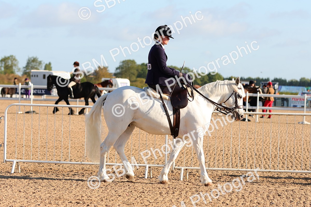 SBM_08164 - Class 202 - Best Turned Out -  Ridden