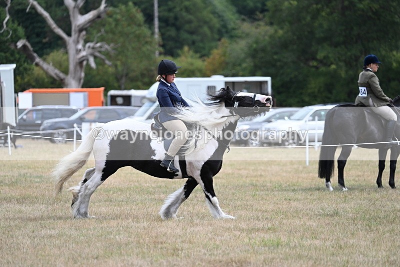 WJ7_5595 - Class 12 Ridden Cob