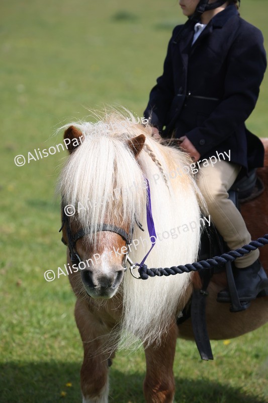 20260426-0537 - Class 30 - Tiny Tots Lead Rein