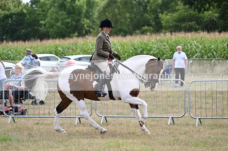 WJ7_5625 - Class 12 Ridden Cob