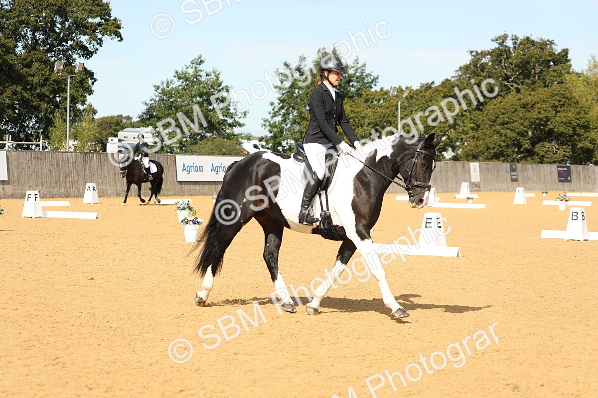 SBM_22161 - D17 - Grand Tour Championship - Novice 27