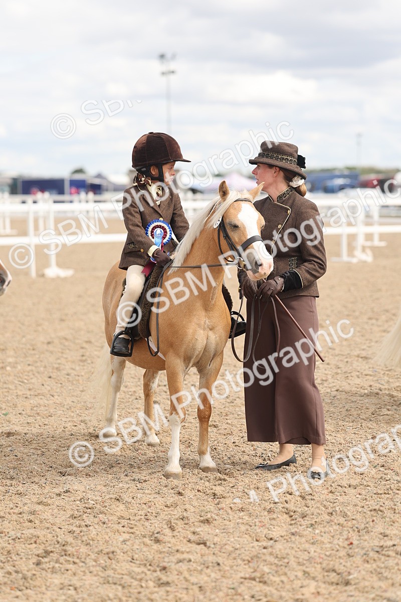 SBM_15843 - Class 309 - Lead Rein Pony