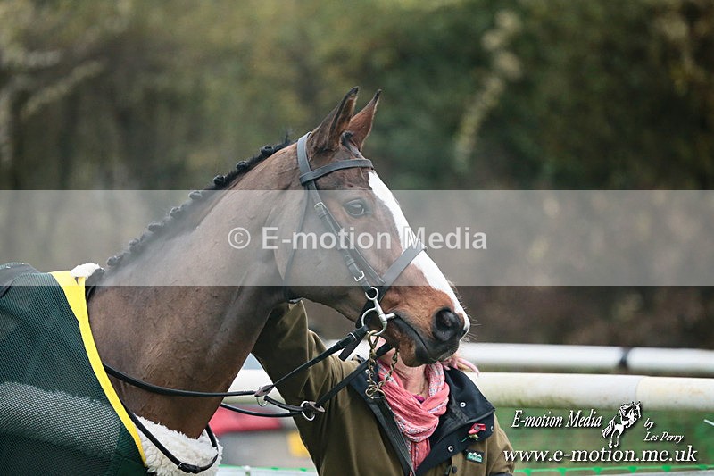 PtP 091124  299 - Knightwick Races Point-to-Point 09/11/24
