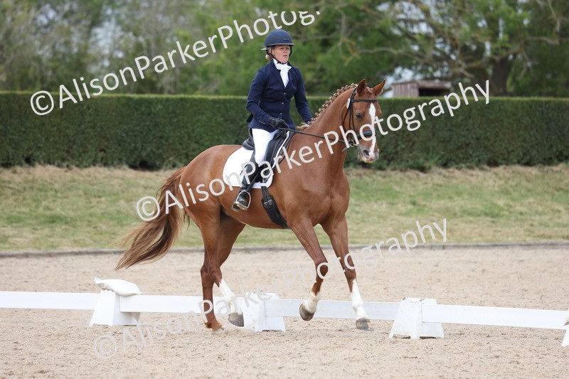 20250604-0589 - Class 3 - Novice 5