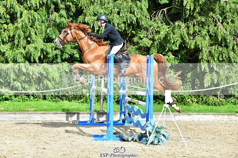 230715-163642-34214 - Cls 85 5 yr old Champ