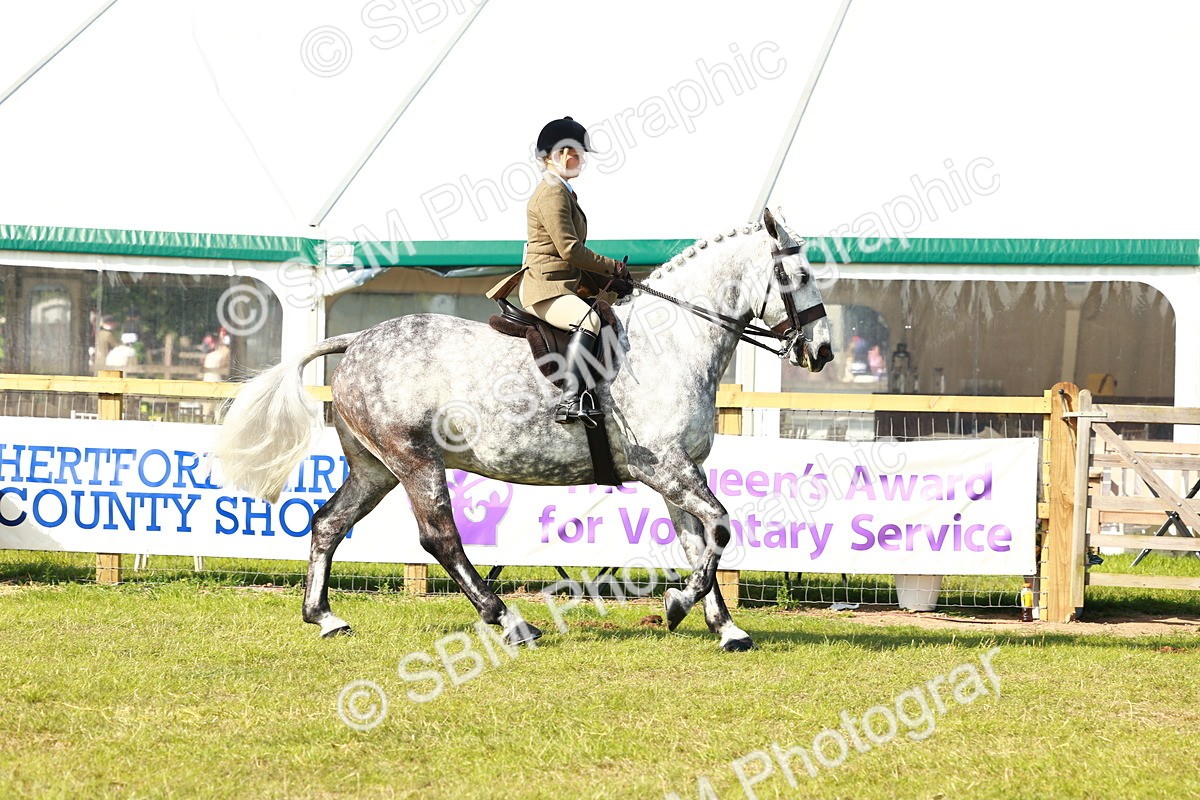 SBM_11759 - Class 66-69 - RIHS Ridden Hunters Inc Small Hunter