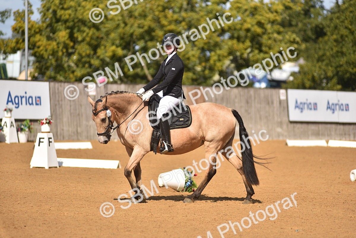 SBM_19942 - D4 - Small Tour Championship Intro 4