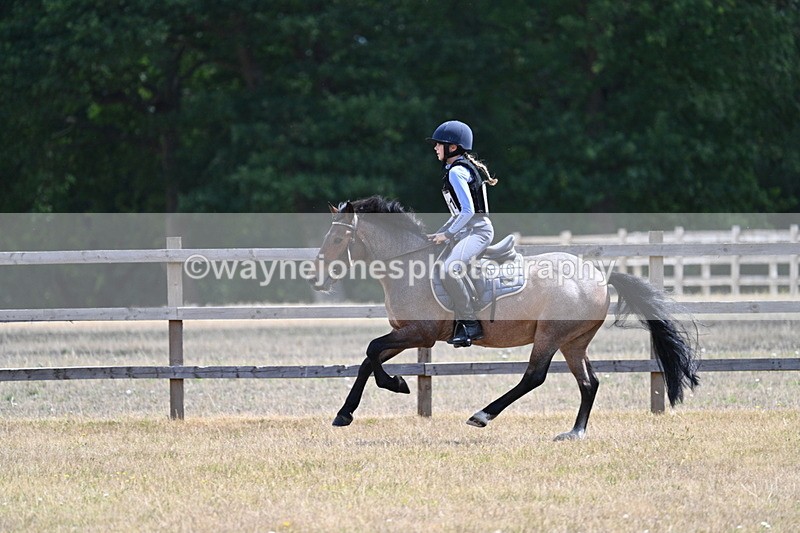 WJ7_0910 - 60cm Time 12:26 to 12:46