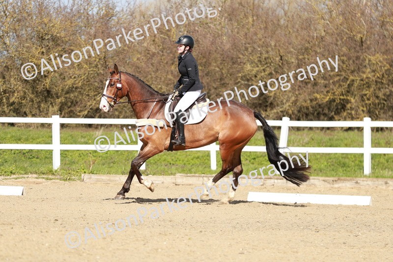 20260314-2910 - DR3 - Prelim 1