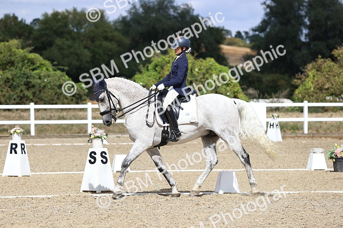 SBM_015167 - Class 5 - E5 Bronze 14.42.15.54