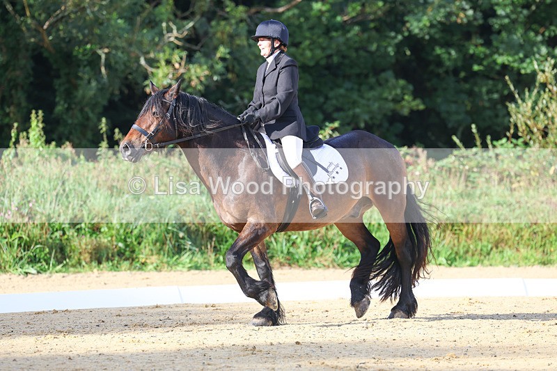 3E7A1866 - Class 1: Intro 4 2024 section A