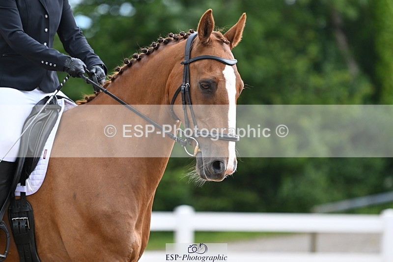 240622A-092143-06771 - Cls 23 BD Prelim 19