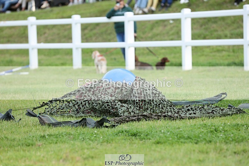 240711-191414-29716 - Cls 210 Jolly Jumps Run and Run