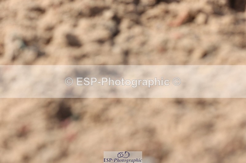 240706A-171351-04591 - Cls 9 RT Novice 27