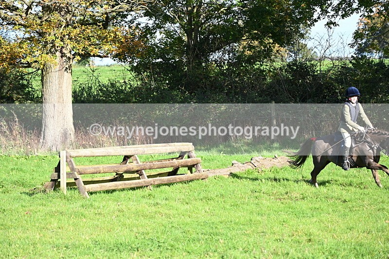 WJ6_4668 - Camera 1