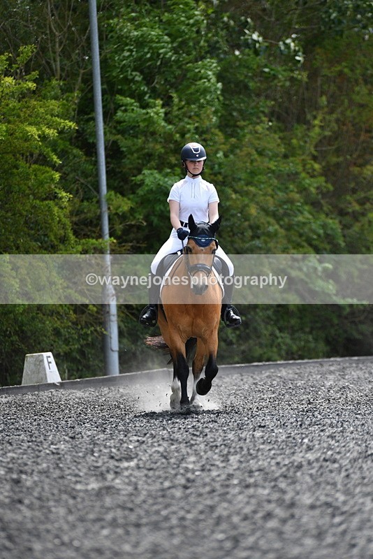 WJ5_0982 - Time 13:45 to 14:20