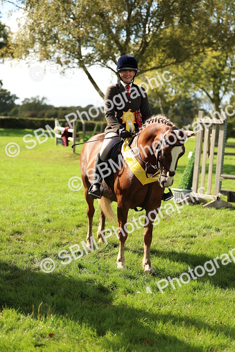 SBM_46408 - Working Hunter Pony Supreme Championship