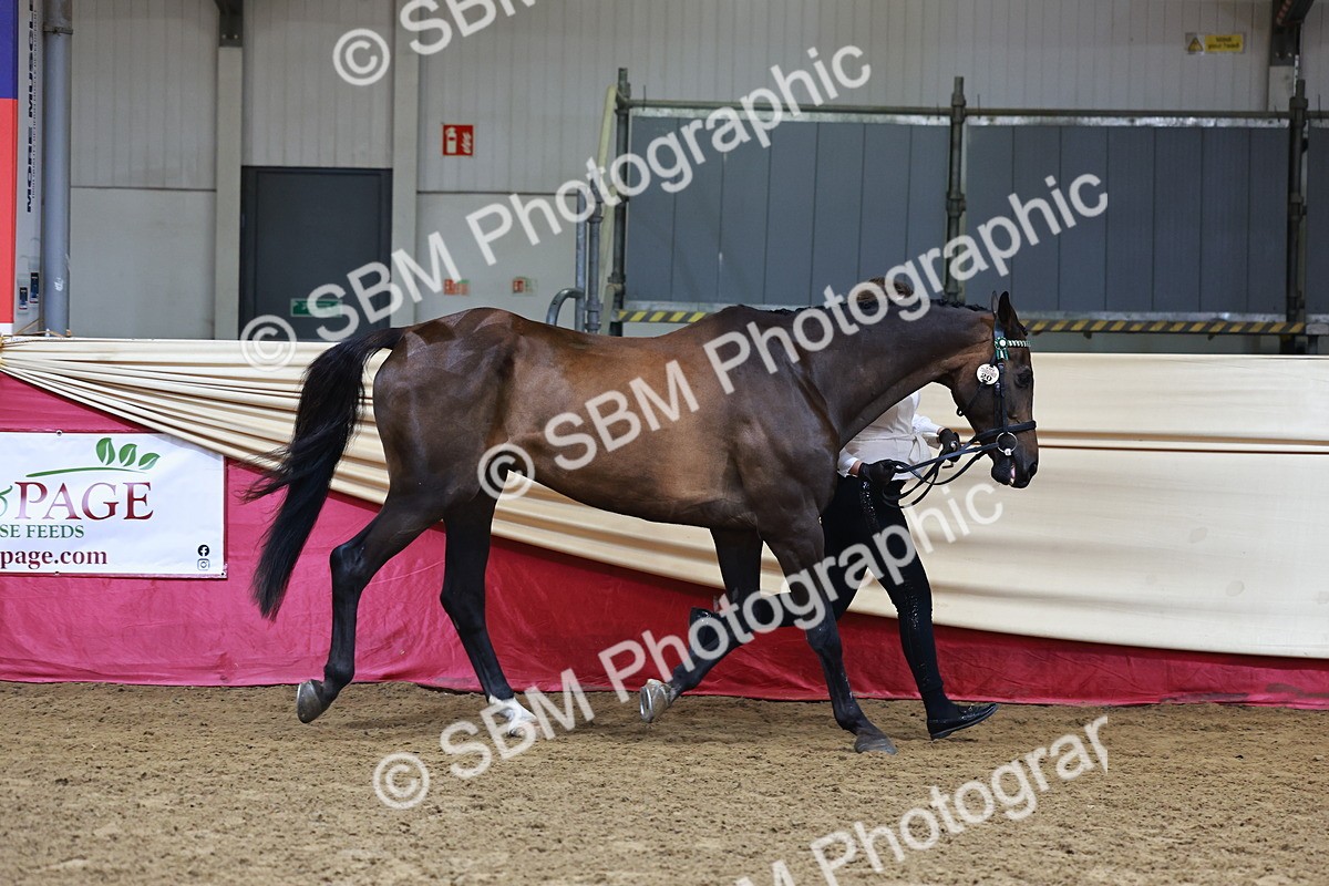 SBM_22218 - Class 902 - Supreme Final - IH Diamond