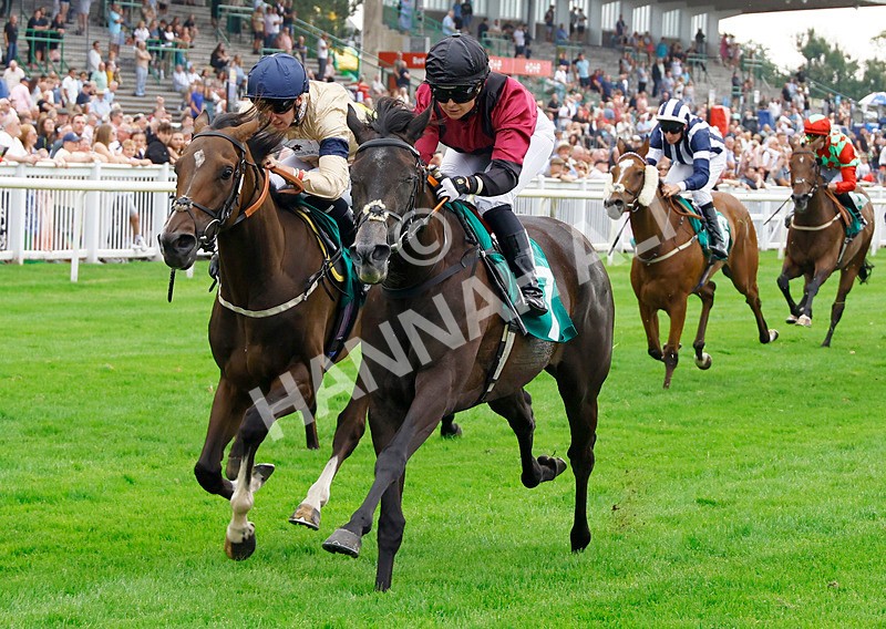 250725-Race 5-Idyllic-88691 - Race 5