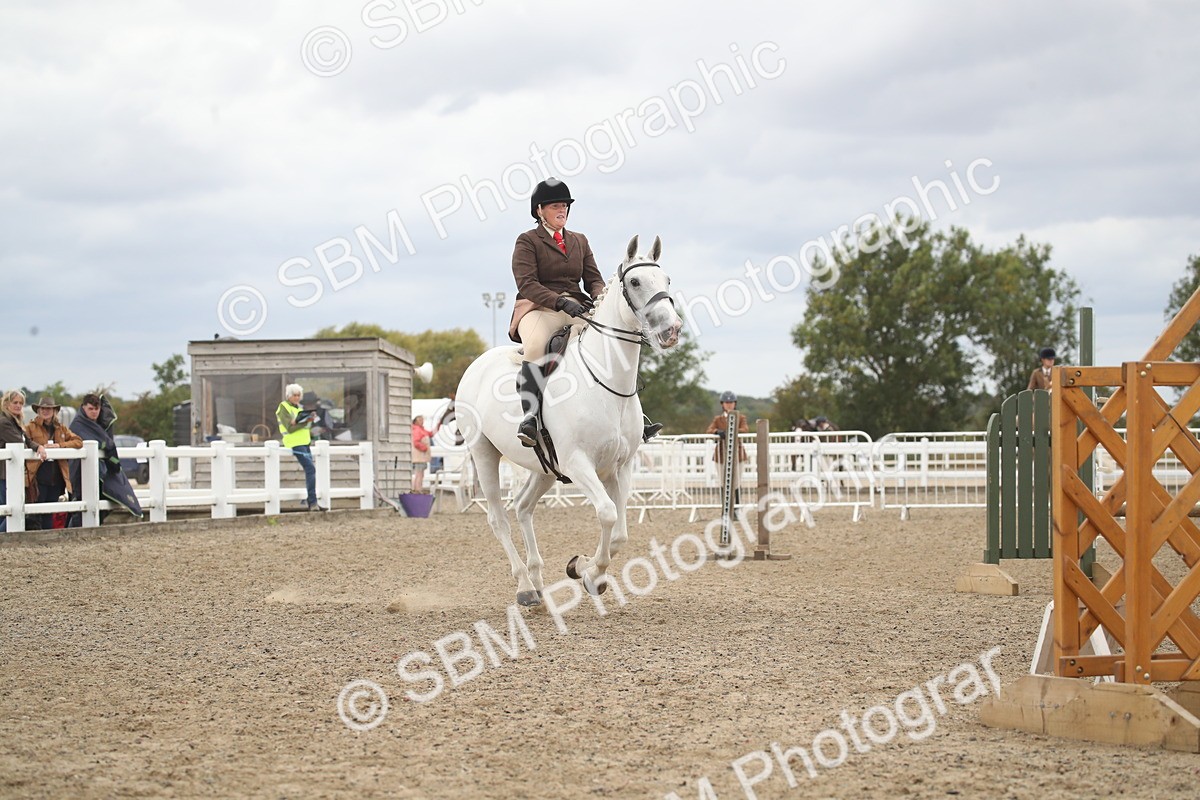 SBM_18264 - Class 509a - Working Veteran - 80cm (15-19)