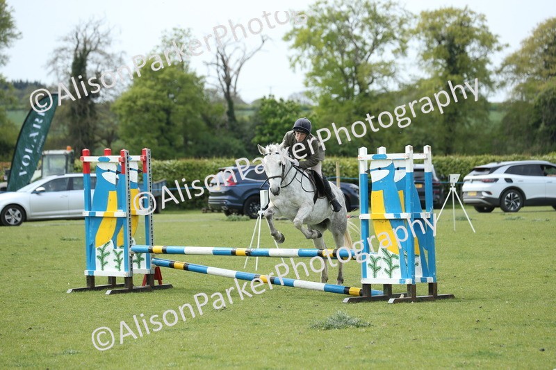 20260426-2095 - Class 15 - Absolute Novice 70cm