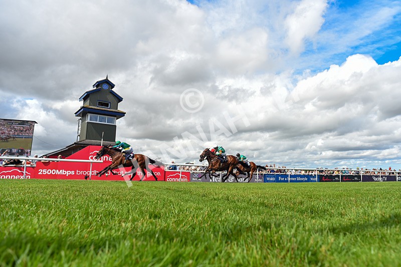 040726-Race 3-Emerald Bay-5848 - Race 3 15.24pm George Kilburn Memorial Nursery Handicap
