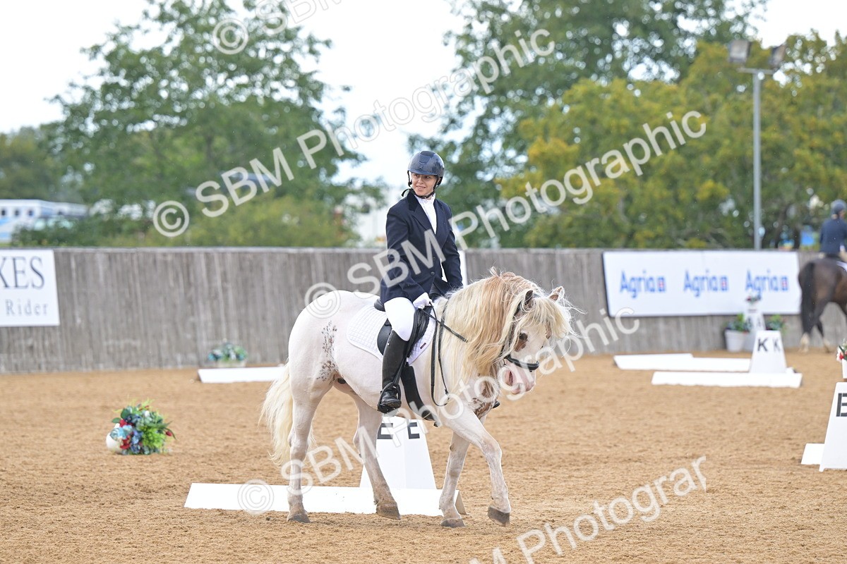 SBM_11201 - D3 - Small Tour Championship Intro 3