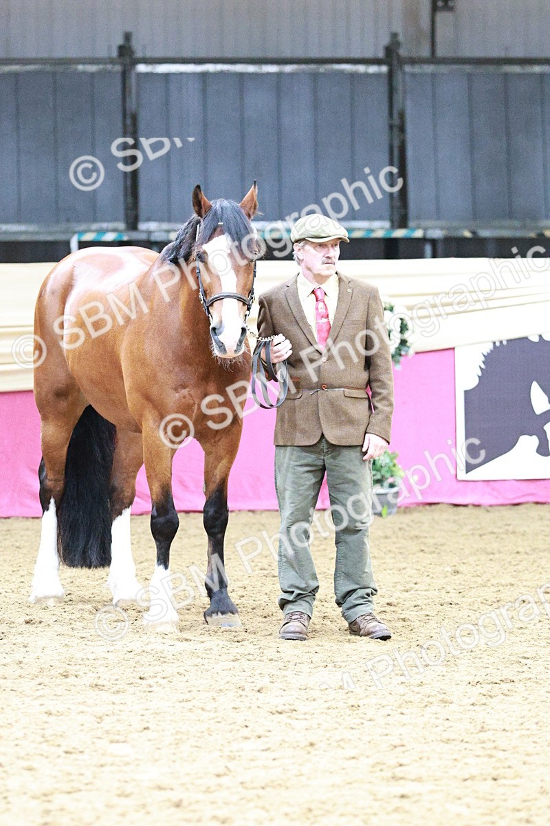 SBM_01214 - Class 3A - Area IH Pre-Vet