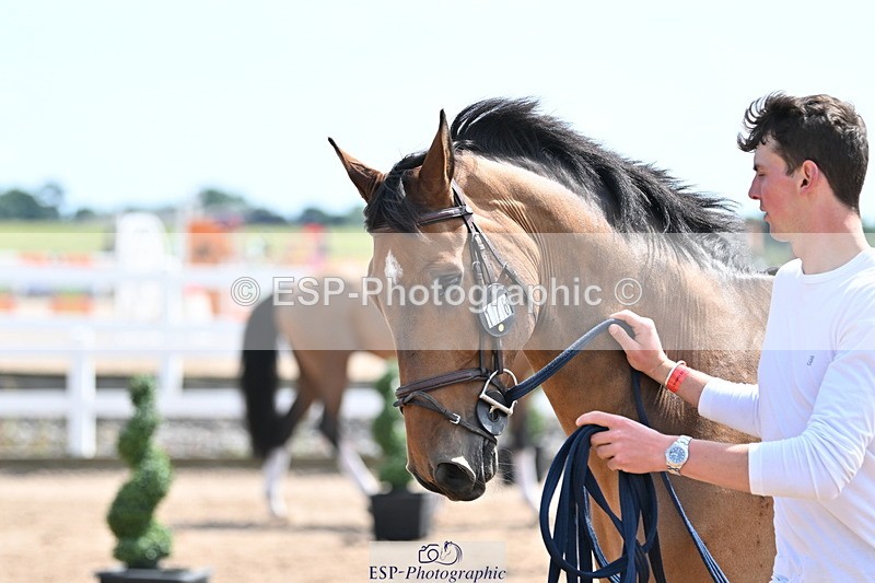 240717A-151704-02716 - Trot Up 3pm to 4pm